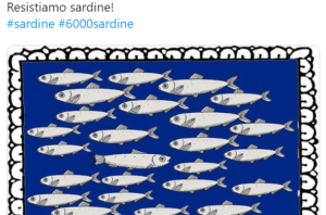 Le sardine in mare